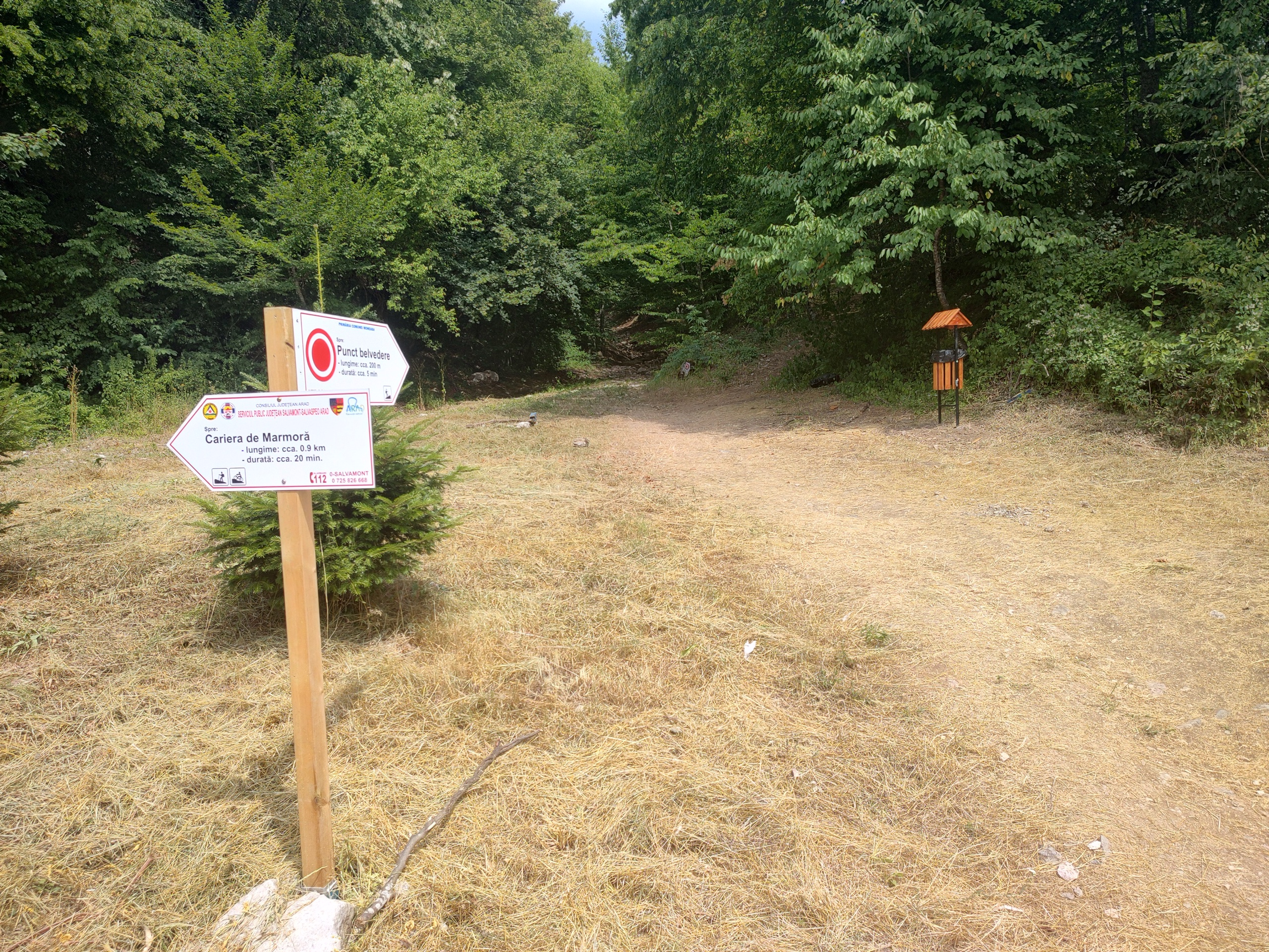 Belvedere Moneasa