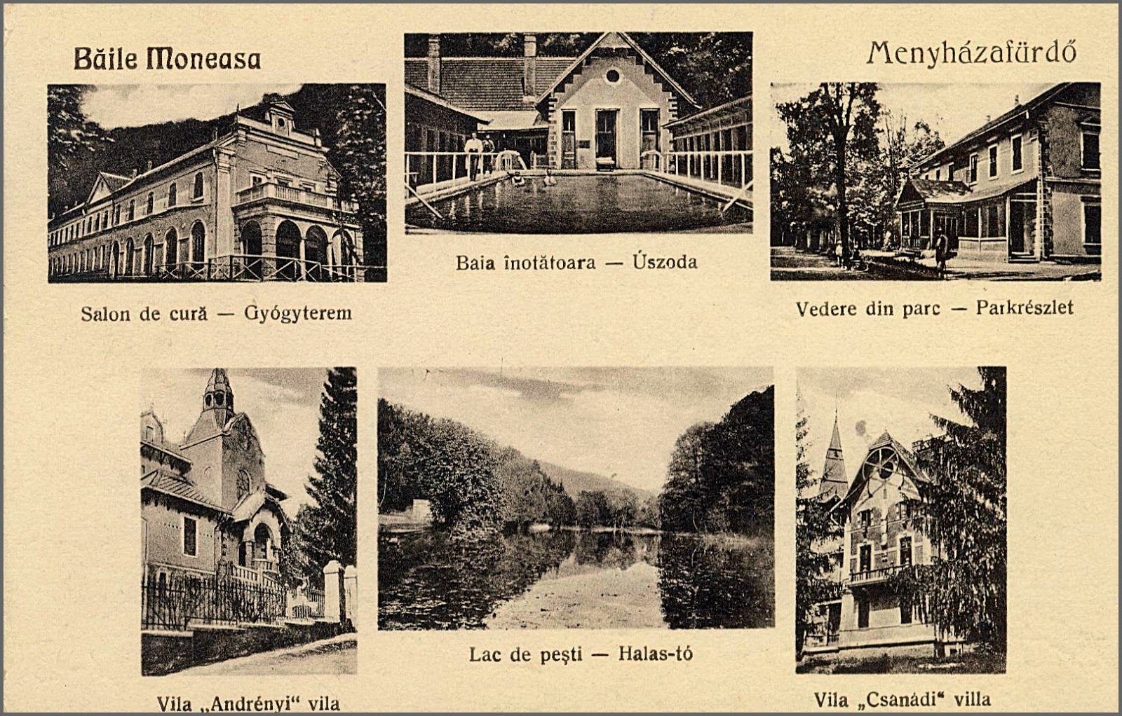 Moneasa