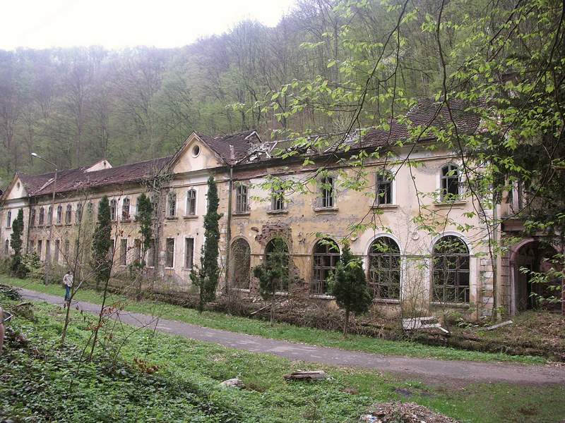 Moneasa