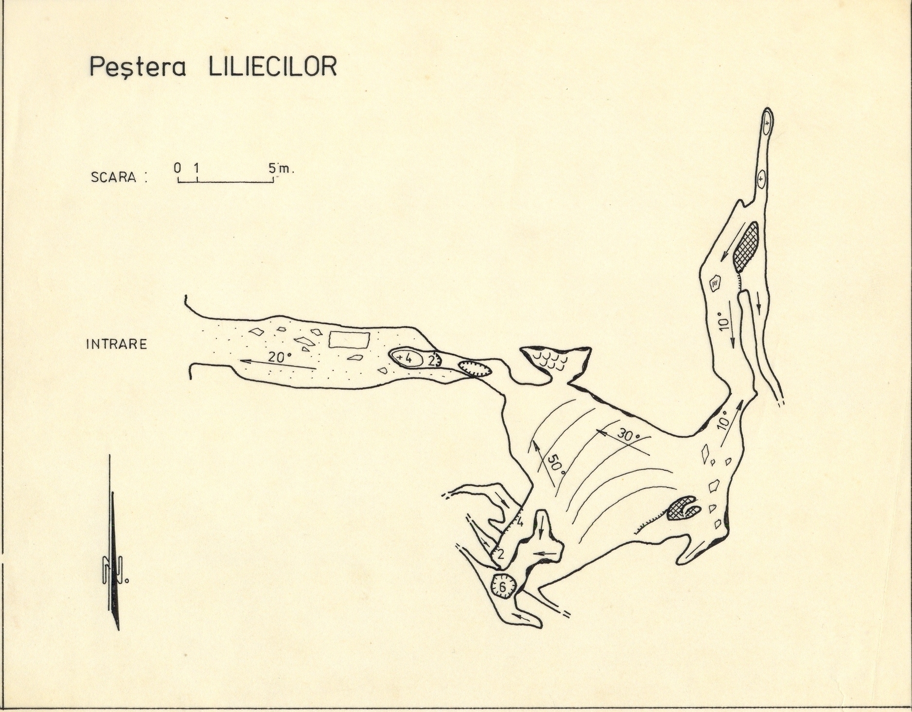 Peștera Liliecilor – Moneasa